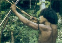 AWA GUAJA Die letzten Jäger und Sammler Nordost-Brasiliens. Mit einer staatlichen Genehmigung hatten wir die Möglichkeit, eine Gruppe dieser Urwaldnomaden kennen zu lernen, die erst kurze Zeit Kontakt mit der Aussenwelt hatte